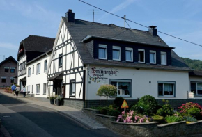  Brunnenhof  Бруттиг-Фанкель